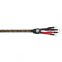 Wireworld Gold Eclipse 8 Bi Wire Speaker Cable (Pair) (2.0M)
