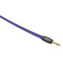 Wireworld PUN Pulse Mini Jack Cable 5ft (1.5M)