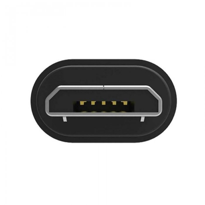iFi Audio OTG-USB C Audiophile Grade OTG Cable (USB 3.0A to USB C) - Click Image to Close