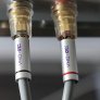 XLO DNA Speaker Wire w/ Gold Bananas (Pair) 4.57m/15ft
