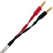 Wireworld LUS10 Luna 10 Speaker Cable 10ft (3M)