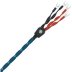 Wireworld Oasis 8 Bi Wire Speaker Cable (Pair) (2.5M)