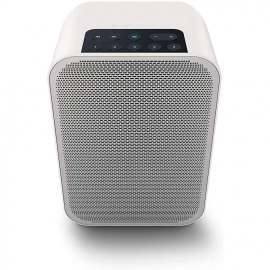 Bluesound Pulse Flex 2i Portable Wireless Multi-Room Smart Speaker w BT WHITE - Open Box