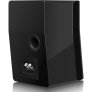 SVS Ultra Evolution Nano Bookshelf Speaker (Pair) PIANO GLOSS BLACK - Open Box