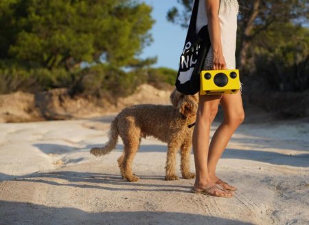 Description image for Audio Pro T3+ Portable Bluetooth Wireless Speaker CORAL