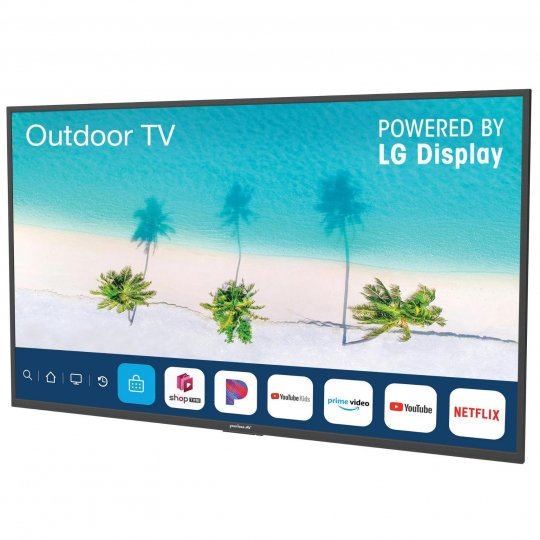 Neptune 65-Inch 4K HDR Smart Outdoor TV w Outdoor Mount