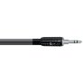 Wireworld SEN Nano-Silver Eclipse Mini Jack Cable 3.2ft (1M)