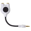 Monster Cable iSplitter 200 Headphone Y-Adapter for iPod/Laptop