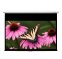 Grandview Cyber 106-Inch Manual Pull-Down Projection Screen CB-P (16:9) WHITE CASING