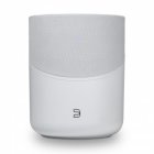 Bluesound P230WHTUNV Pulse M Omni-Hybrid Wireless Music Streaming Speaker WHITE - Open Box