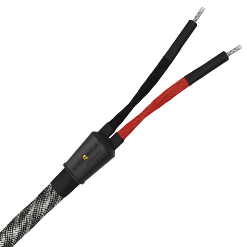 Wireworld PES10 Platinum Eclipse 10 Speaker Cable 10ft (3M)