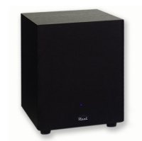 Reel Acoustics RSS-10 10" 100 Watt Front Firing Subwoofer