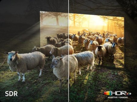 Description image for Samsung 75-Inch QN75QN900F Neo QLED 8K Vision AI Smart TV [2025]