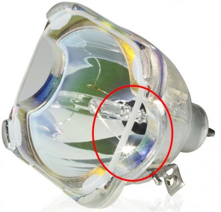 Description image for Toshiba D85-LMP Replacement Television Lamp Bulb