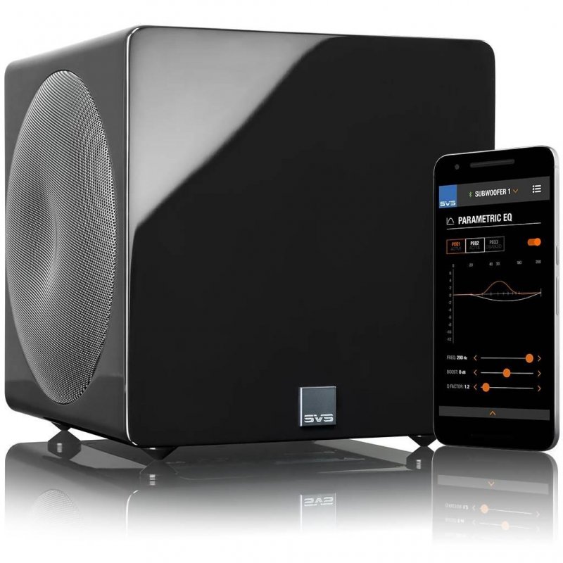 SVS 3000 Micro w Dual 8" Drivers 800 watts RMS &amp; 10" Cabinet Subwoofer BLACK