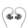 FiiO FH19 2 Dynamic 6 Balanced Armature Drivers IEMs