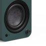 Kanto Living YU4 2nd Gen (2nd Gen) 160 W Powered Speakers System with Bluetooth 5.3 Phono Preamp USB-C GREEN