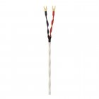 Wireworld Luna 8 Standard Speaker Cable (2.5M)