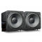 SVS SB 1000 PRO Subwoofer BLACK ASH [Bundle]