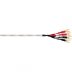 Wireworld Luna 8 Bi Wire Speaker Cable (Pair) (2.0M)