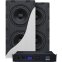 SVS 3000 In-Wall Dual Subwoofer System