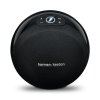 Harman/Kardon Omni 10 Wireless HD Audio System Speaker BLACK