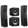 SVS Ultra Evolution Pinnacle & Dual SB-3000 R|Evolution High-Performance 2.2 Speaker System BLACK OAK VENEER / BLACK ASH - Open Box