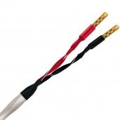 Wireworld SOS10 Solstice 10 Speaker Cable 6.5ft (2M)
