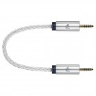 iFi Audio Cable Series 4.4mm to 4.4mm Balanced Male to Male Connector