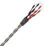 Wireworld EQS10 Equinox 10 Speaker Cable 10ft (3M)