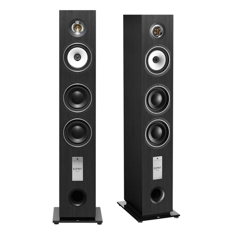 Triangle Gaia EZ 3-Way Compact Floorstanding Speaker (Pair) BLACK ASH