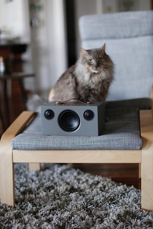 Description image for Audio Pro T3+ Portable Bluetooth Wireless Speaker WHITE