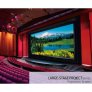 Grandview LS-MA 250" Large Stage Motorized Projection Screen 16:9
