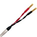 Wireworld SOS10 Solstice 10 Speaker Cable 20ft (6M)