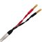 Wireworld SOS10 Solstice 10 Speaker Cable 10ft (3M)