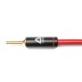 Analog Acoustics Single-Wire Speaker Cable (10 ft)