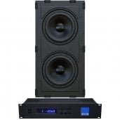 SVS 3000 In-Wall Subwoofer and Amp