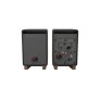 FiiO BR15 R2R & Onkyo GX-10DB Creator Series Bluetooth Streaming Powered Speaker Bundle BLACK