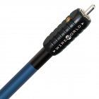 Wireworld Oasis 8 Subwoofer Cable (6M)