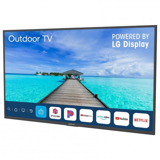 Neptune 55-Inch 4K HDR Smart Outdoor TV w Outdoor Mount