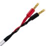 Wireworld STS10 Stream 10 Speaker Cable 8ft (2.5M)