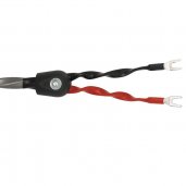 Wireworld Equinox 8 Standard Speaker Cable (2.5M)