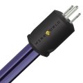 Wireworld AUP10 Aurora 10 Power Conditioning Cord 3.2ft (1M)