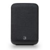 Bluesound PULSE FLEX 2i Portable Wireless Multi- Room Music Streaming Speaker BLACK
