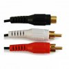 Standard 'Y' Audio Cable RCA Jack to 2 RCA Plugs (6in)