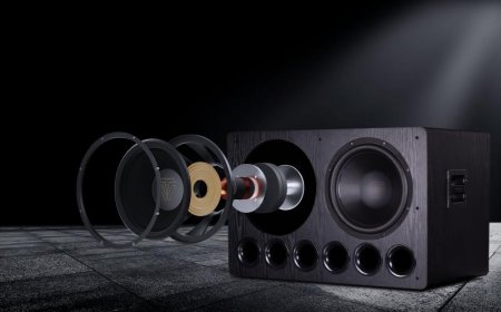Description image for Tonewinner SW-D8000PRO Ported Subwoofer with Dual 15" Drivers