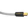 Wireworld P2AB Platinum Starlight 8 USB 2.0 Audio Cables 1.9ft (0.6M)