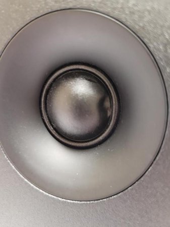 Close-up of Kanto YU Passive tweeter cosmetic damage