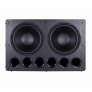 Tonewinner SW-D8000PRO Ported Subwoofer with Dual 15" Drivers
