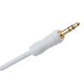 Monster Cable iCable for Car (Mini to Mini) for iPod & iPhone